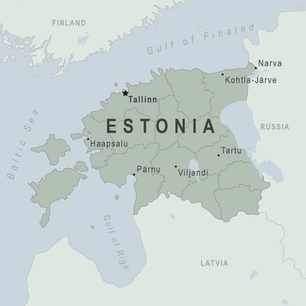 73 companii estoniene activează în România - 73companiiestonieneactiveazainro-1649245082.jpg