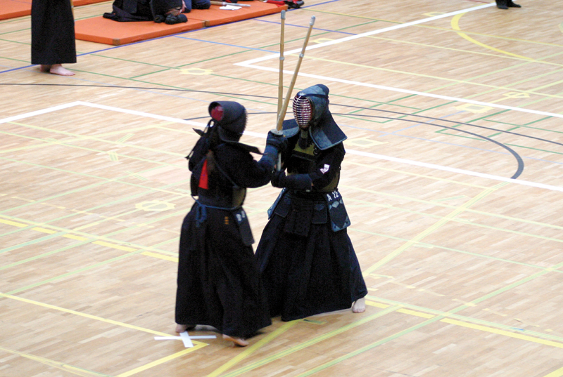 Kendo și războinicii în negru - 8731d90dd6bed4200de337e601e9afaa.jpg