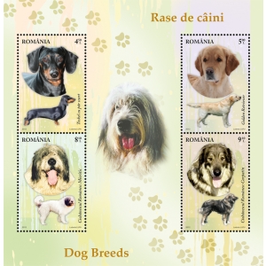 Rase de câini pe mărcile poștale românești - 8augustcainipemarcilepostale-1344422050.jpg