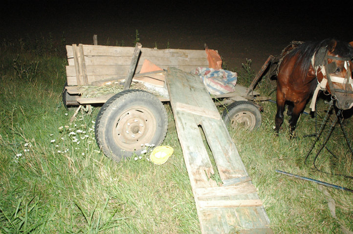 Accidente rutiere cu două căruțe, la Constanța - accidenterutierecarute-1389720710.jpg