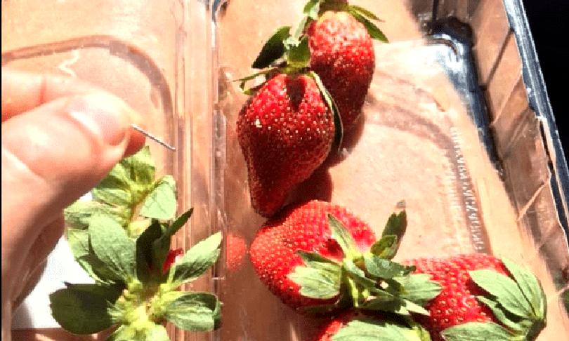 Ace de cusut în căpșunele vândute în supermarket. 100.000 de dolari recompensă pentru prinderea făptașului - ace1-1537099730.jpg
