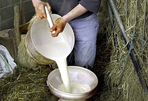 Achizitorii de lapte trebuie să depună declarația lunară - achizitoriilapte-1431006895.jpg
