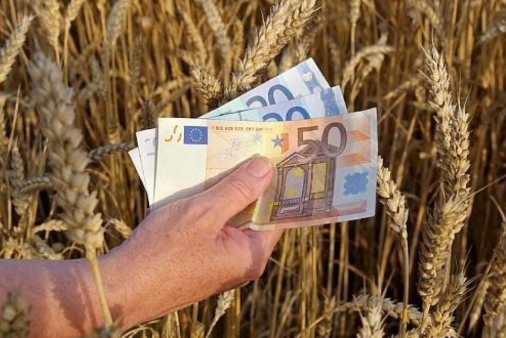 Finanțare europeană de 15,83 miliarde de euro pentru agricultura României - agriculturaromanieivaprimiofinan-1671214985.jpg