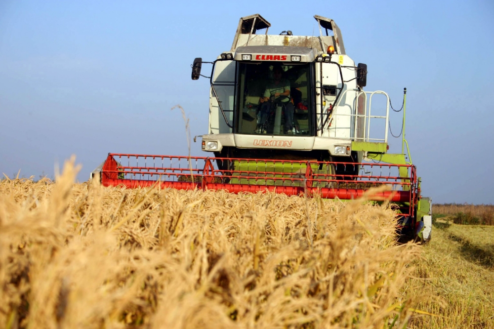 Agricultura României primește o finanțare europeană  mai mare cu 27% - agricutura-1360506030.jpg