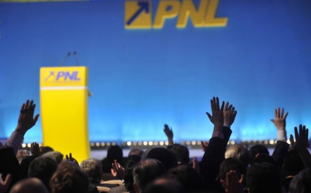 PNL își alege noua conducere în cadrul Congresului Național - alegere-1403943707.jpg