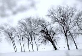 Alertă de ploi, ninsori şi frig în România! ANM anunţă unde se instalează iarna cu adevărat - alerta-1673277946.jpg