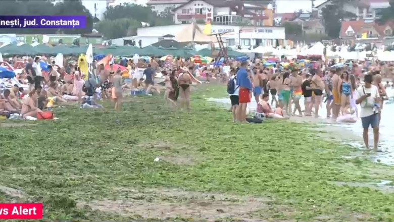Este invazie de alge pe litoral. Cum arată acum plaja din Costinești - alge-1661530222.jpg