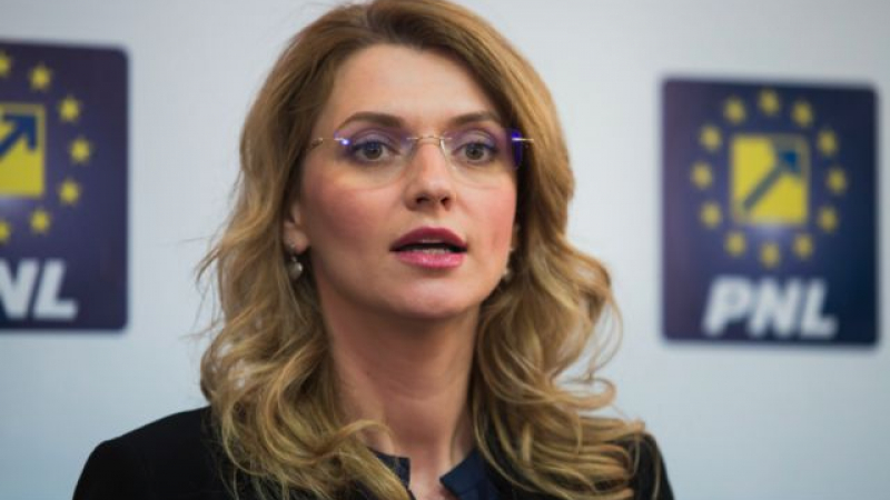 Alina Gorghiu cere suspendarea subvențiilor pentru PSD, în urma dosarului Drăghici - alina-1554635013.jpg