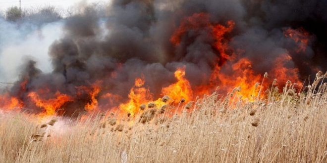 Ce amendă riști dacă dai foc la vegetație în 2024 - amenda-1708355261.jpg