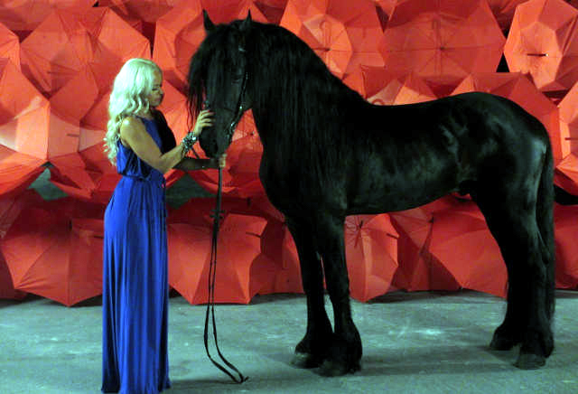 Anda Adam a închiriat un cal negru de 600 de kg pentru noul ei clip - andaadamoriginal-1343396444.jpg