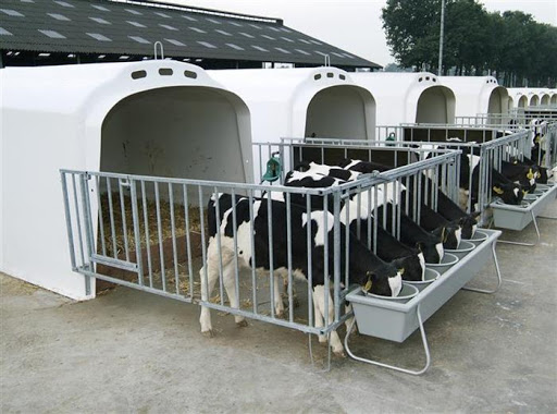 Animalele de fermă nu vor mai putea fi închise în cuști - animaleledefermanuvormaiputeafii-1625168959.jpg