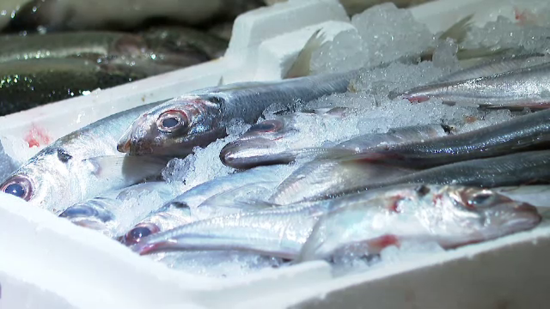 ANPC, amenzi de peste 1 milion de lei date în sectorul de comercializare a peștelui - anpc-amenzi-comercializare-peste-1715356597.jpg