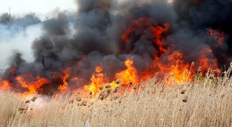 Arderea vegetației uscate, interzisă astăzi! - ardereavegetatieiuscate-1400090200.jpg