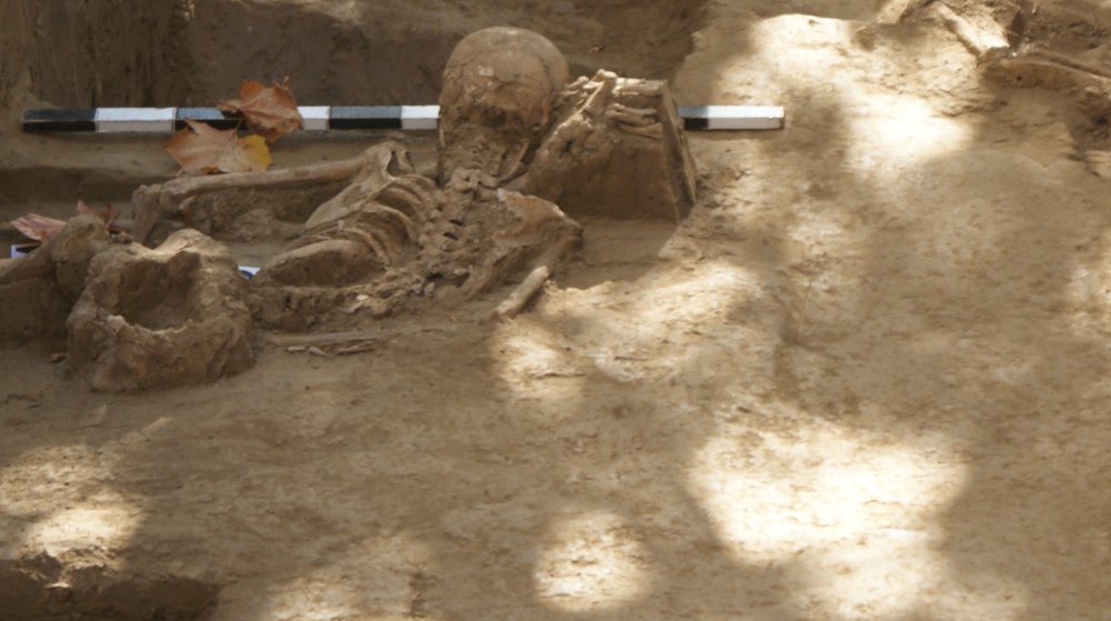 Arheologul Paul Nicorescu a pus umărul la săpăturile arheologice din Dobrogea - arheologul-1625760118.jpg