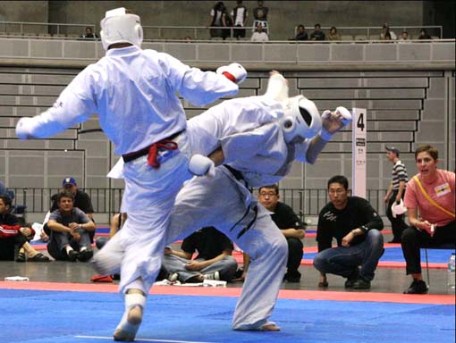 Arte marțiale: Ediția a VI-a a Cupei Internaționale de Karate Kyokushinkai are loc la Sibiu - artemartiale-1416388170.jpg