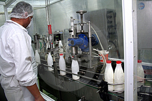 A scăzut cantitatea de lapte procesat de industria românească - ascazutcantitatea-1433846624.jpg