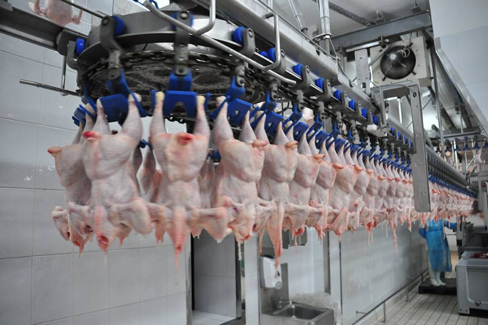 A scăzut producția de carne - ascazutproductiadecarne1004-1491813335.jpg