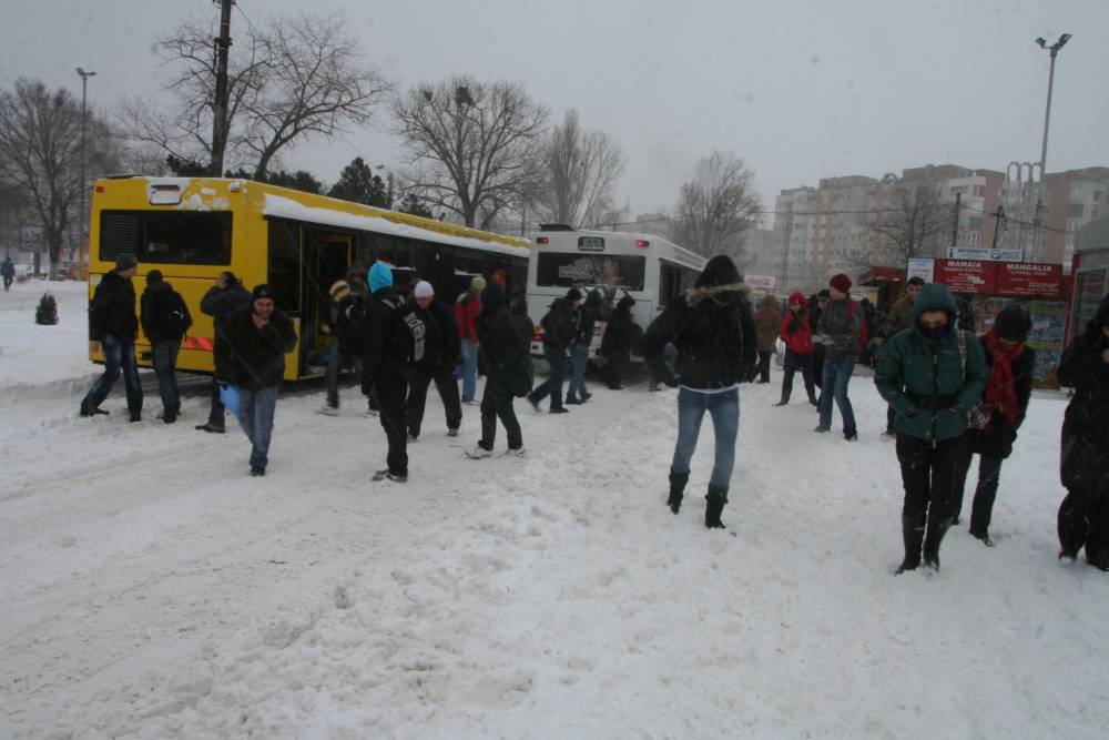 COD ROȘU DE VISCOL LA CONSTANȚA! Astăzi puteți CIRCULA GRATUIT cu autobuzele RATC - autobuze1-1483697998.jpg