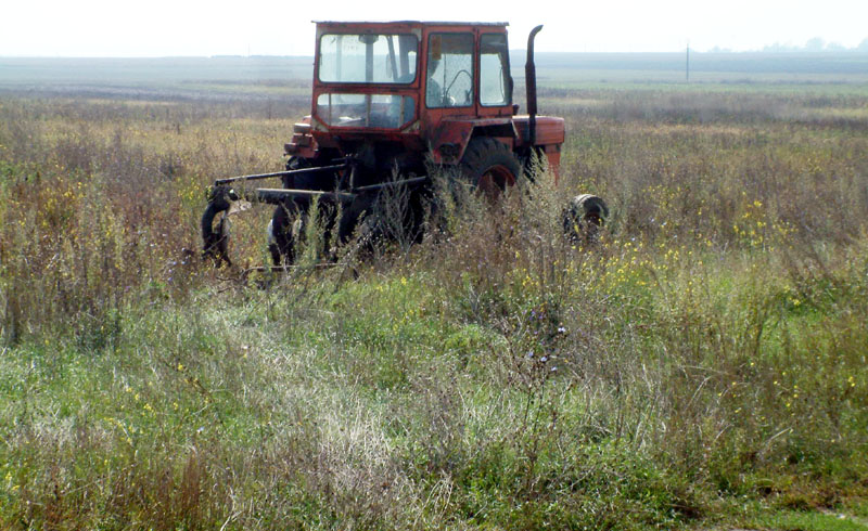 30% din suprafața agricolă din România a rămas necultivată - baf7385491664fb442ae358bc48fa7ac.jpg