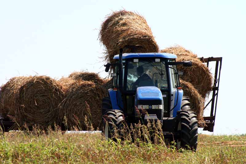 Județul Constanța - locul doi în topul producției agricole vegetale din 2011 - balotipaierecolta2008tractorcamp-1351433583.jpg