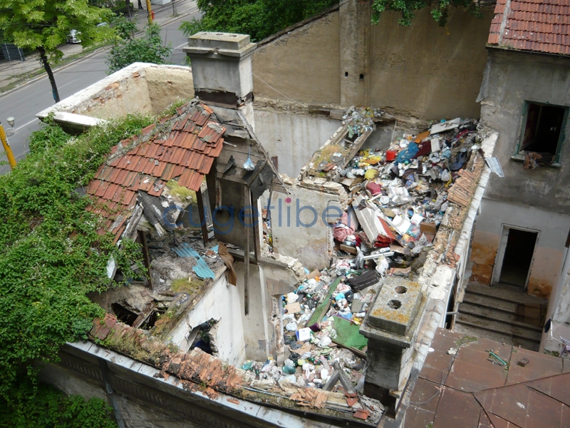 Vila Elena, raiul șobolanilor, va fi demolată (galerie foto) - bcce54ef45426486a7fbab611ae633bd.jpg