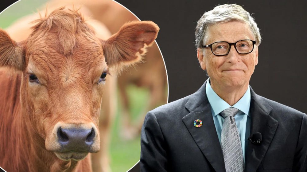 Bill Gates susține că vom mânca mai multă „carne falsă” în viitor: „Totul se reduce la bani” - bill-1673977043.jpg