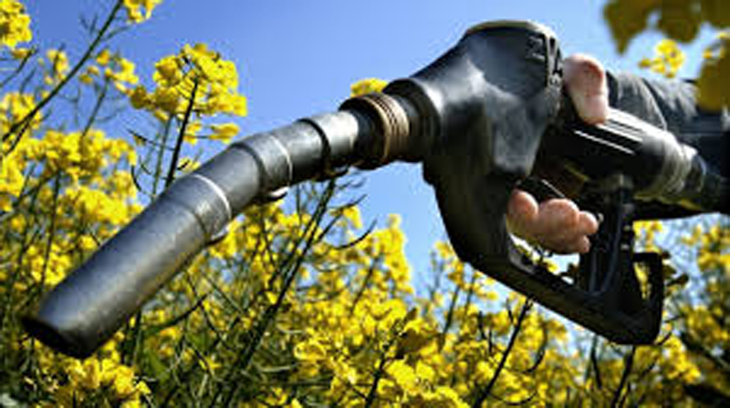 Biocarburanții din gunoaie și alge vor lua locul celor din plante - biocarburanti-1429890013.jpg