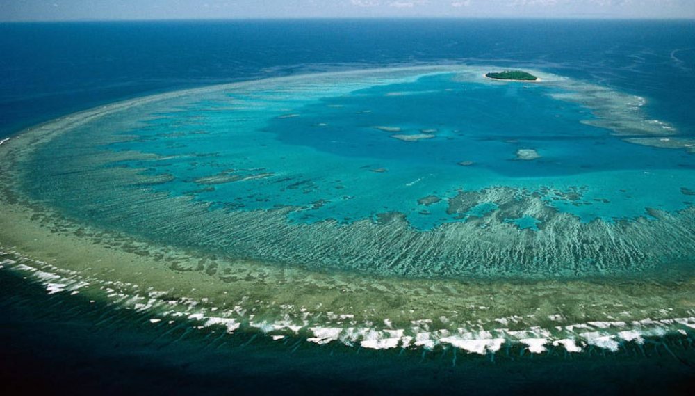 Decizie: Marea Barieră de Corali a Australiei nu va fi inclusă pe lista UNESCO - biodiversitateadinmareabarierade-1690895861.jpg