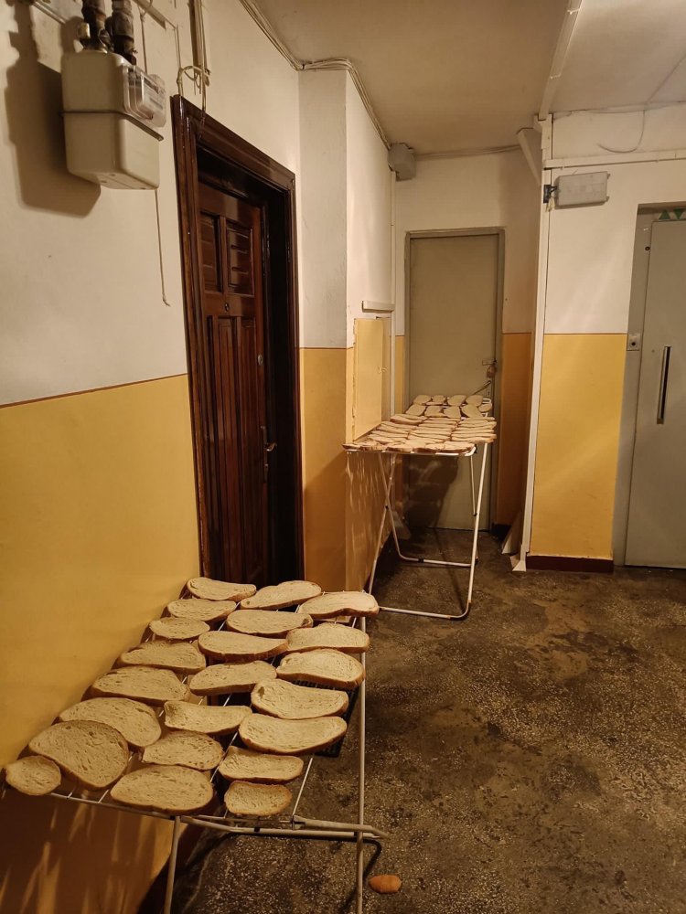 O familie a pus la uscat 50 de felii de pâine în scara blocului - bloc-1667241820.jpg