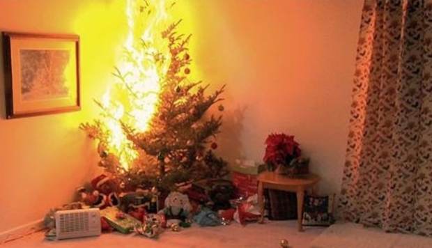 Familie salvată de cățel, după ce bradul de Crăciun a luat foc în sufragerie - bradinflacari75342900-1545823007.jpg