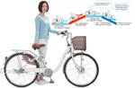 Japonezii elimină pedalatul din viața bicicliștilor - c09a96f753270fa18ba9e61c943ff8c8.jpg