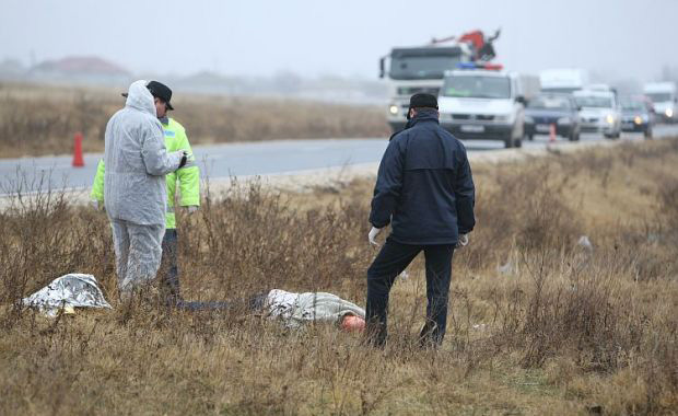 Șoferul care a lăsat un om să moară, la Valea Dacilor, a mai avut probleme cu Poliția Rutieră - cadavrudevorat-1323425527.jpg