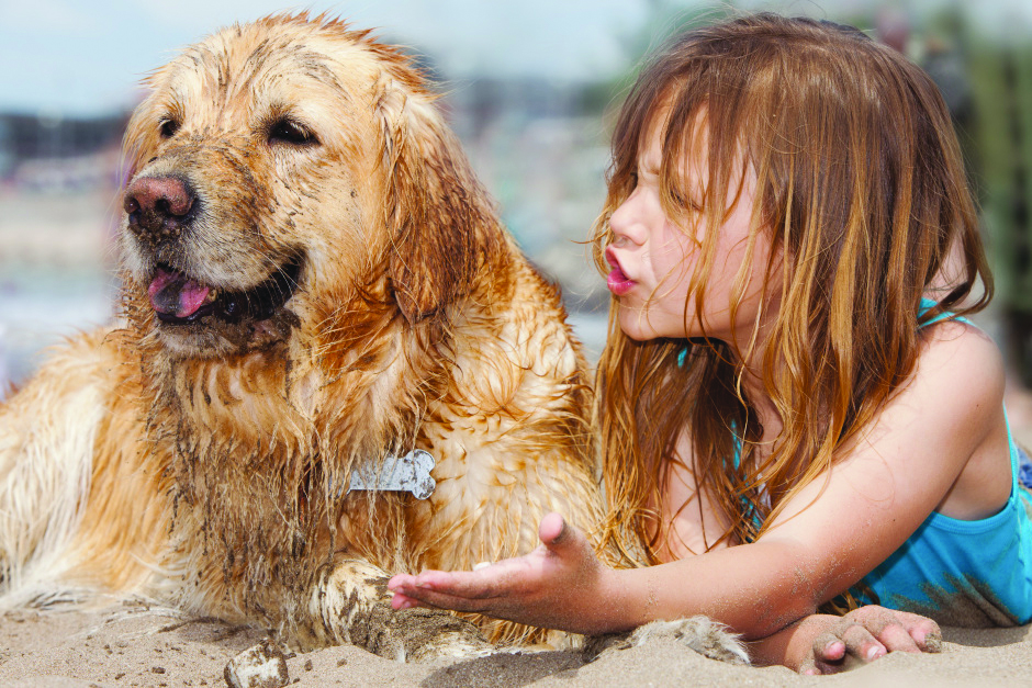Ce trebuie să știi atunci când îți iei câinele la plajă - caine-1405514666.jpg