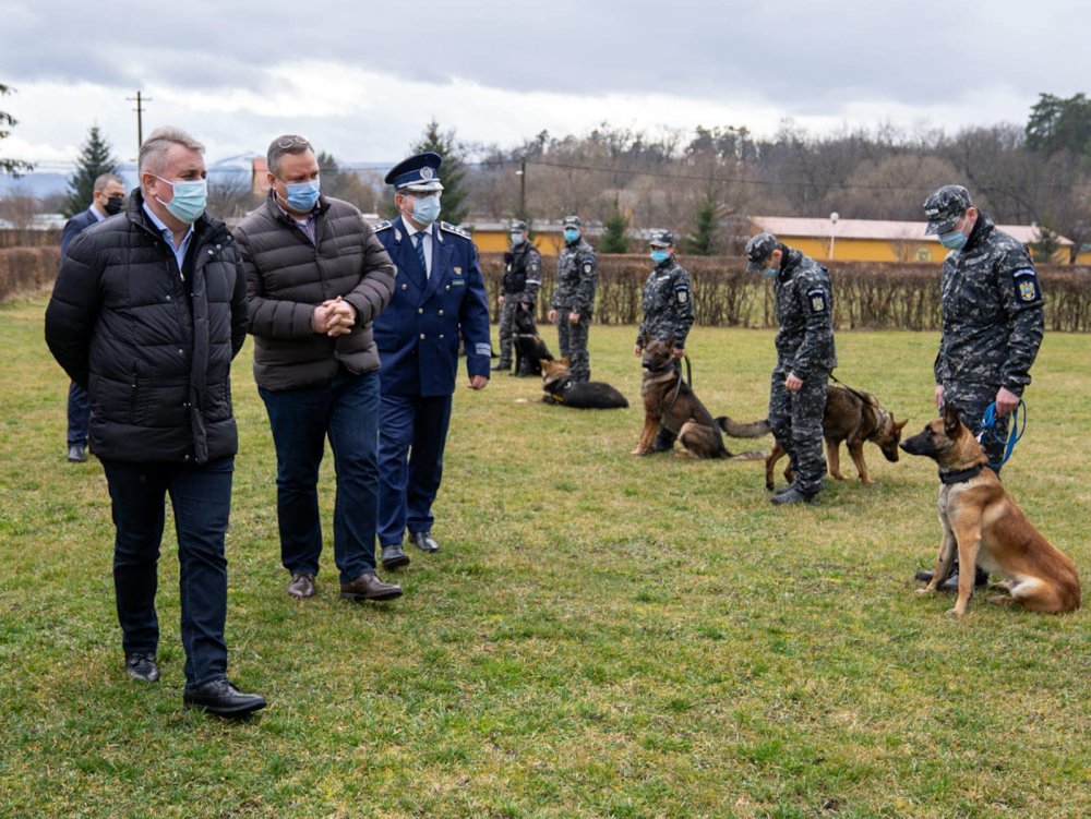 Câinii polițiști, antrenați să miroasă COVID-19! - cainiantrenati3-1613154700.jpg