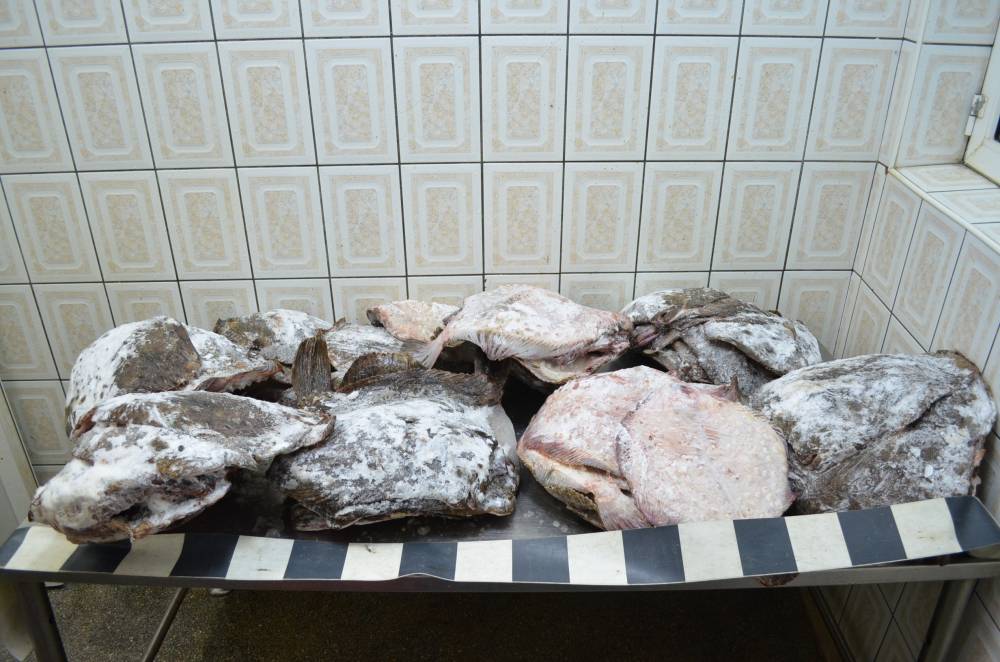 Captură impresionantă de pește! Zeci de kilograme de calcan, confiscate de polițiști - calcan-1435652215.jpg
