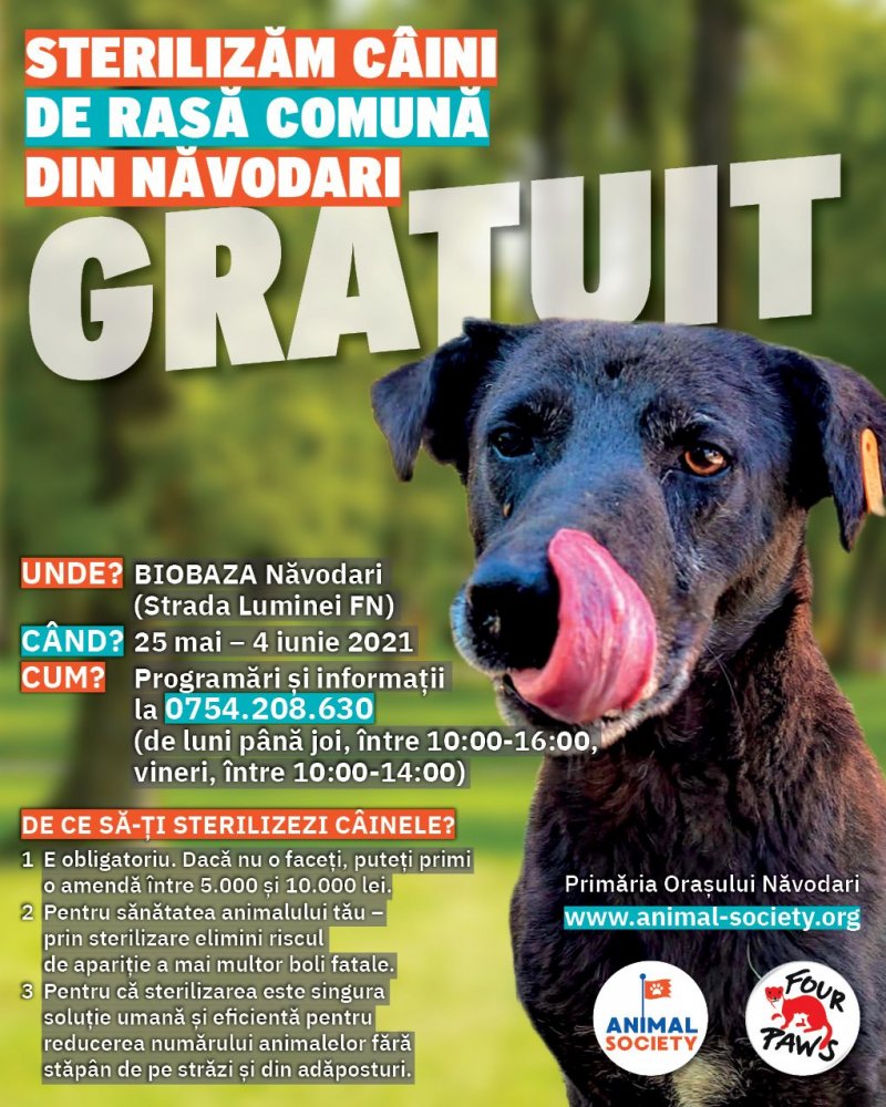 Campanie de sterilizare gratuită a animalelor fără stăpân în oraşul Năvodari - campaniesterilizarenavodari-1621840758.jpg