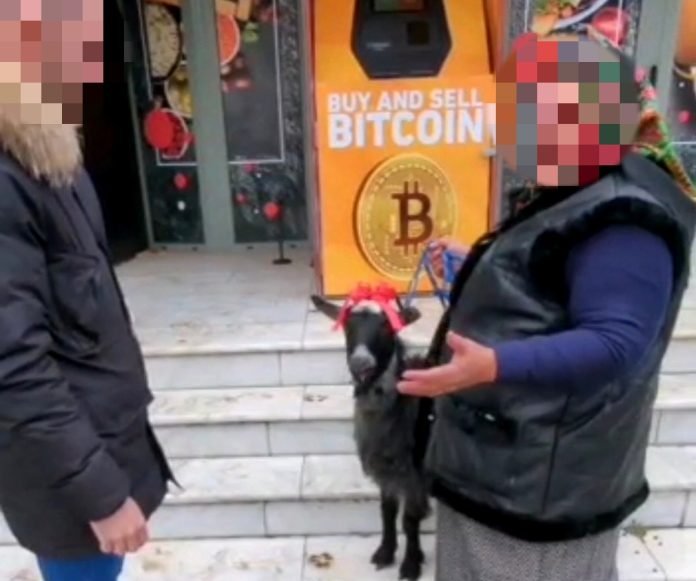Capră scoasă la vânzare pe bitcoin de o pensionară din Focşani: 