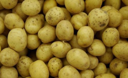 MApN vrea să cumpere peste o sută de tone de cartofi pentru șase unități militare - cartofi-1325076278.jpg