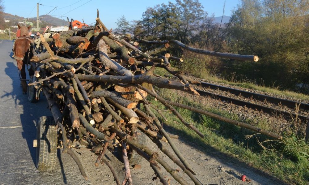 A început sezonul furturilor de lemne, la Constanța! Bărbat prins cu sute de kilograme de material lemnos - carutalemne1538980101-1540364152.jpg