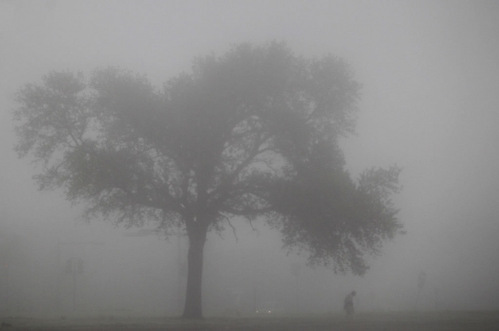 ANM. Cod galben de ceață în Constanța - ceata3-1389103787.jpg