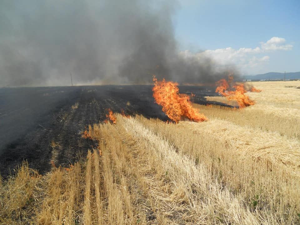 Primăria Cernavodă interzice utilizarea focului deschis pentru curăţarea terenurilor - cernavodaincendii-1648836422.jpg