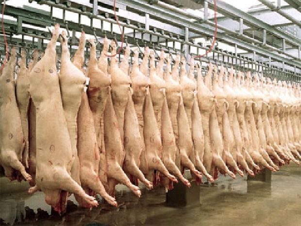 China a aprobat importurile de carne de porc din România - chinaaaprobat-1426752660.jpg