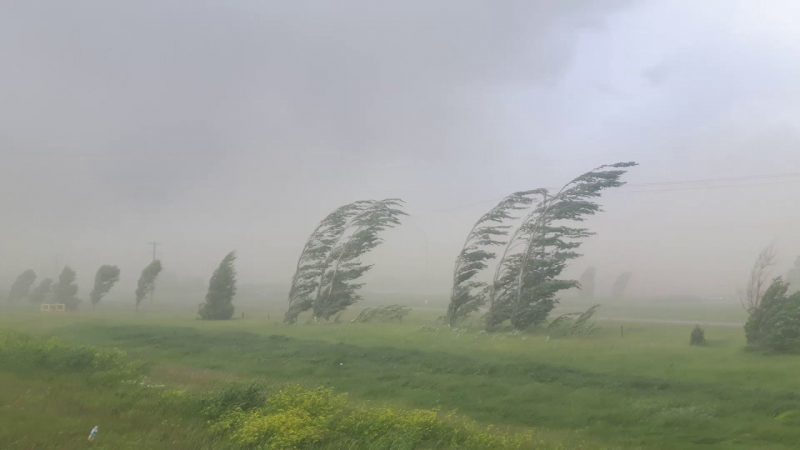ATENȚIE! COD PORTOCALIU de ploi torențiale și grindină, în județul Constanța - cod-1561289393.jpg