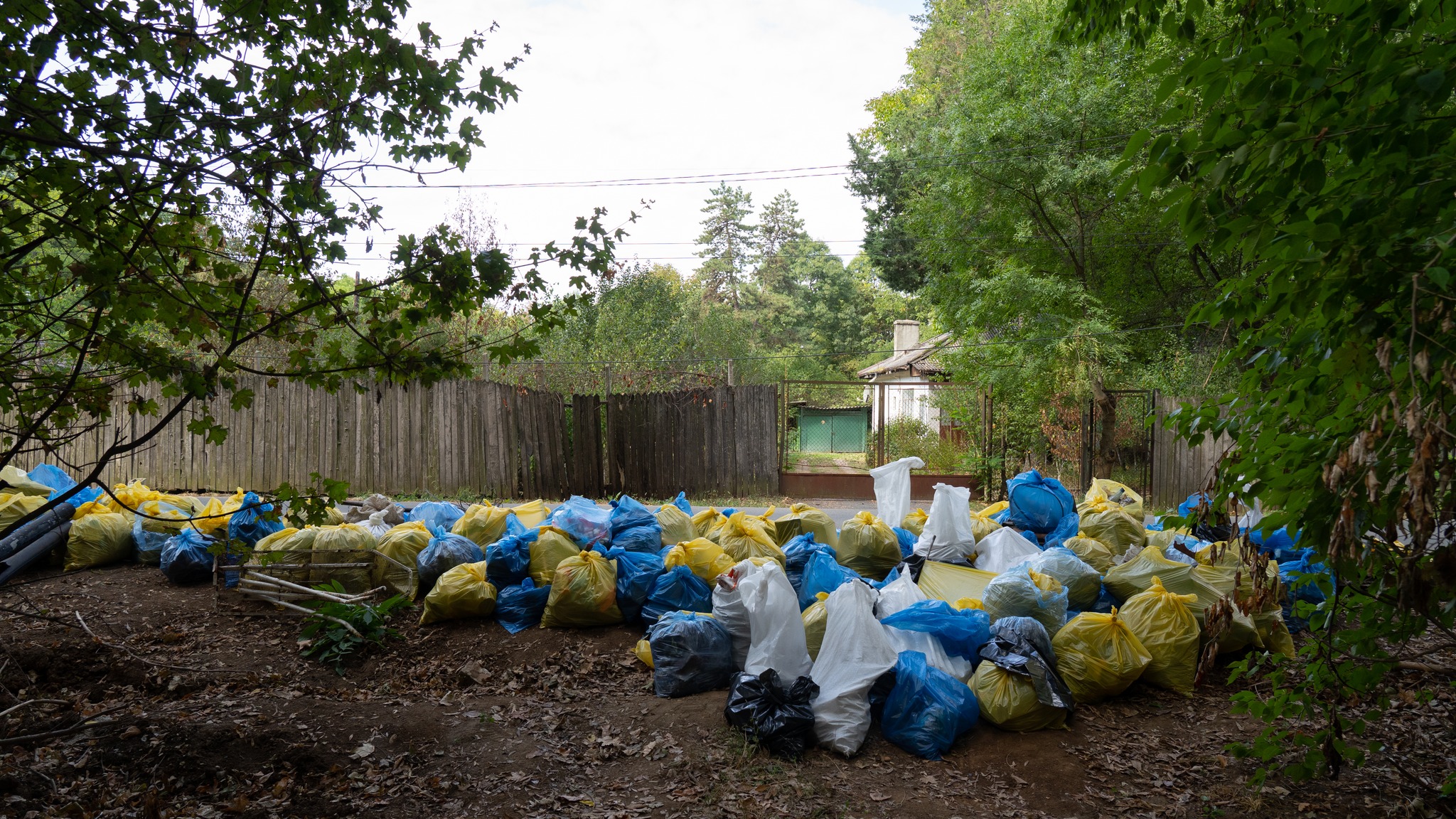 Peste 4,3 tone de deșeuri, colectate anul acesta în programul România Limpede - colectare-deseuri-1695905624.jpg