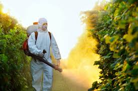Consumul de pesticide din agricultura românească - consumuldepesticidedinagricultur-1574896876.jpg