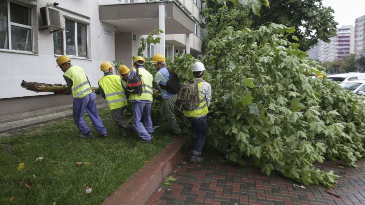 Străzi inundate și copaci doborâți, după furtuna care a lovit Bucureștiul - copacfurutnainquam51855300-1530975021.jpg