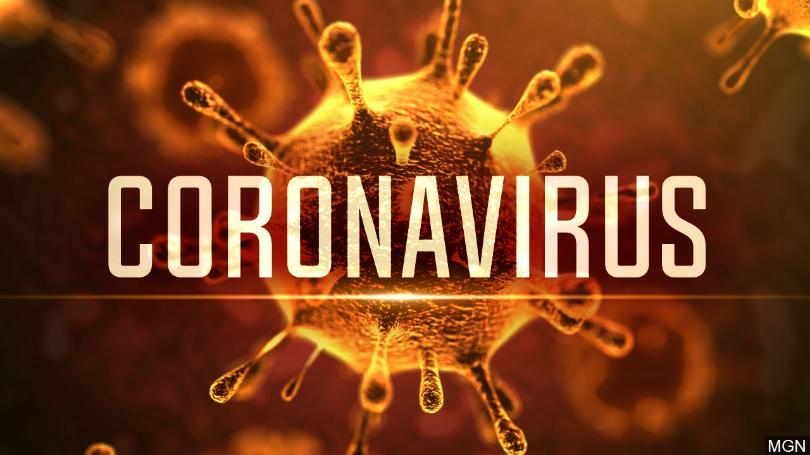 Încă șase cazuri confirmate de infectare cu noul coronavirus. Bilanț total: 108 - coronavirus19-1584204619.jpg