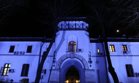 Palatul Cotroceni va fi iluminat în mov, de Ziua Internațională a Luptei împotriva Epilepsiei - cotroceni-1490523245.jpg
