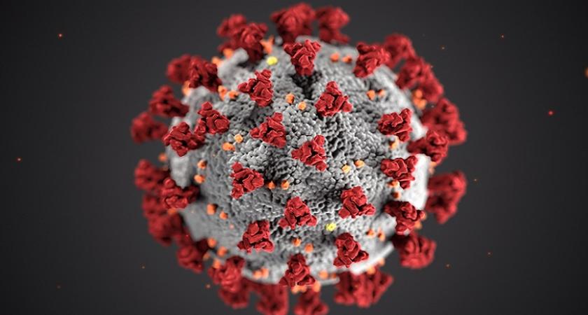 Coronavirus în România, 10 februarie 2021. 3.058 de cazuri noi și 79 decese - covid-1612954811.jpg