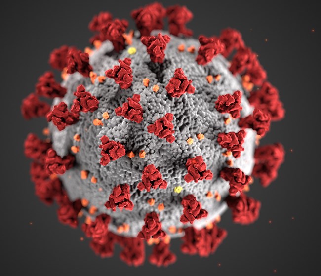 Coronavirus: 2.255 de cazuri noi. La Constanța au fost înregistrate 57 de infectări - covid-1631447468.jpg